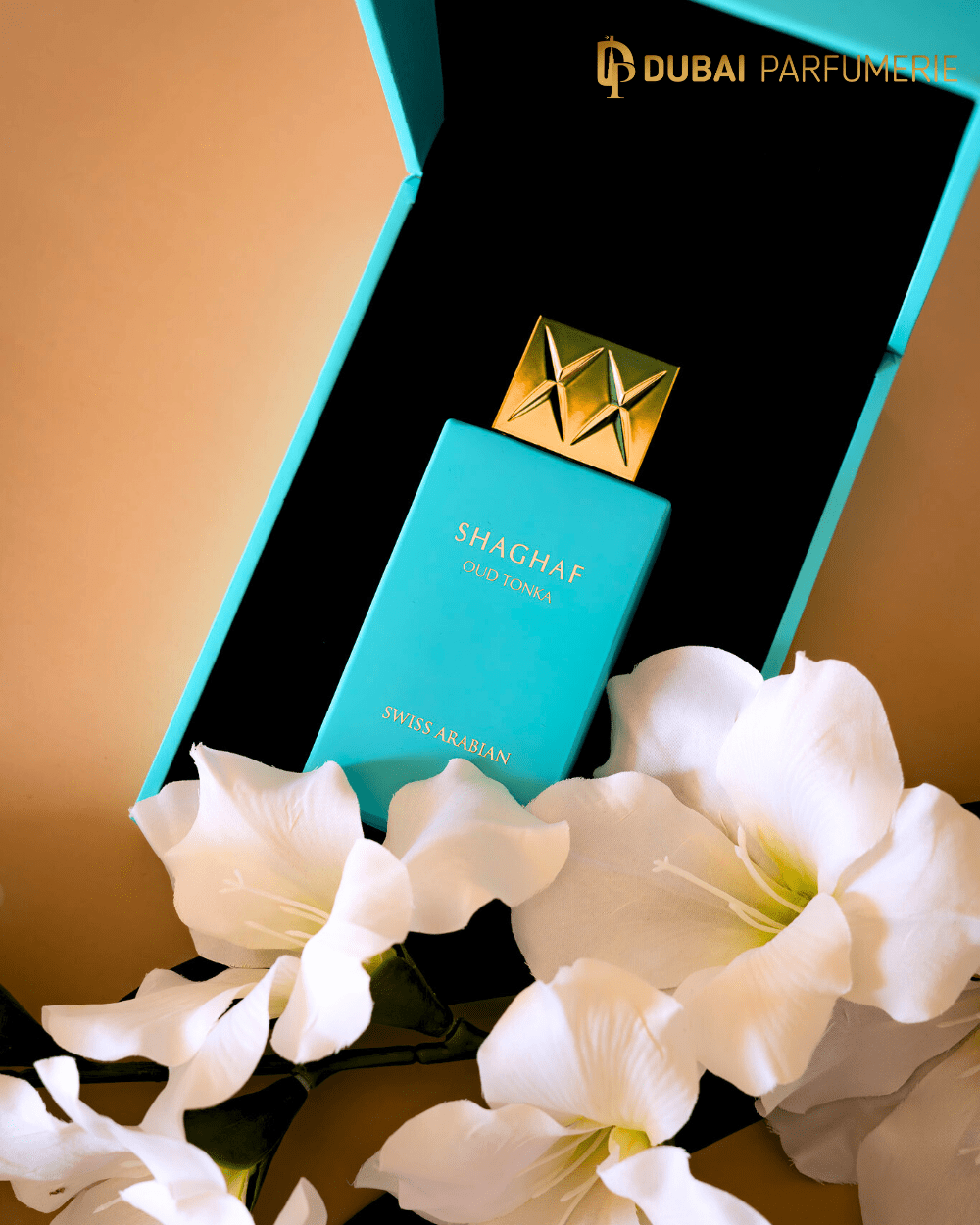 Shaghaf Oud Tonka