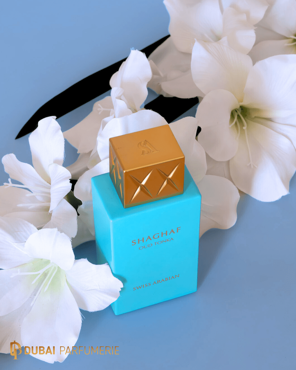 Shaghaf Oud Tonka